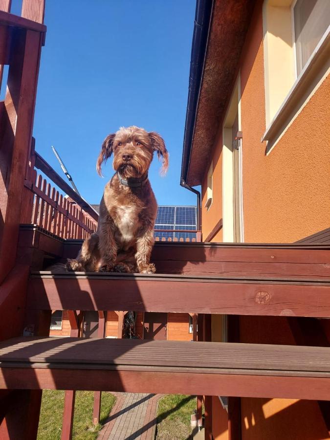 Siedlisko Na Zaciszu Apartamenty Kąty Rybackie Εξωτερικό φωτογραφία